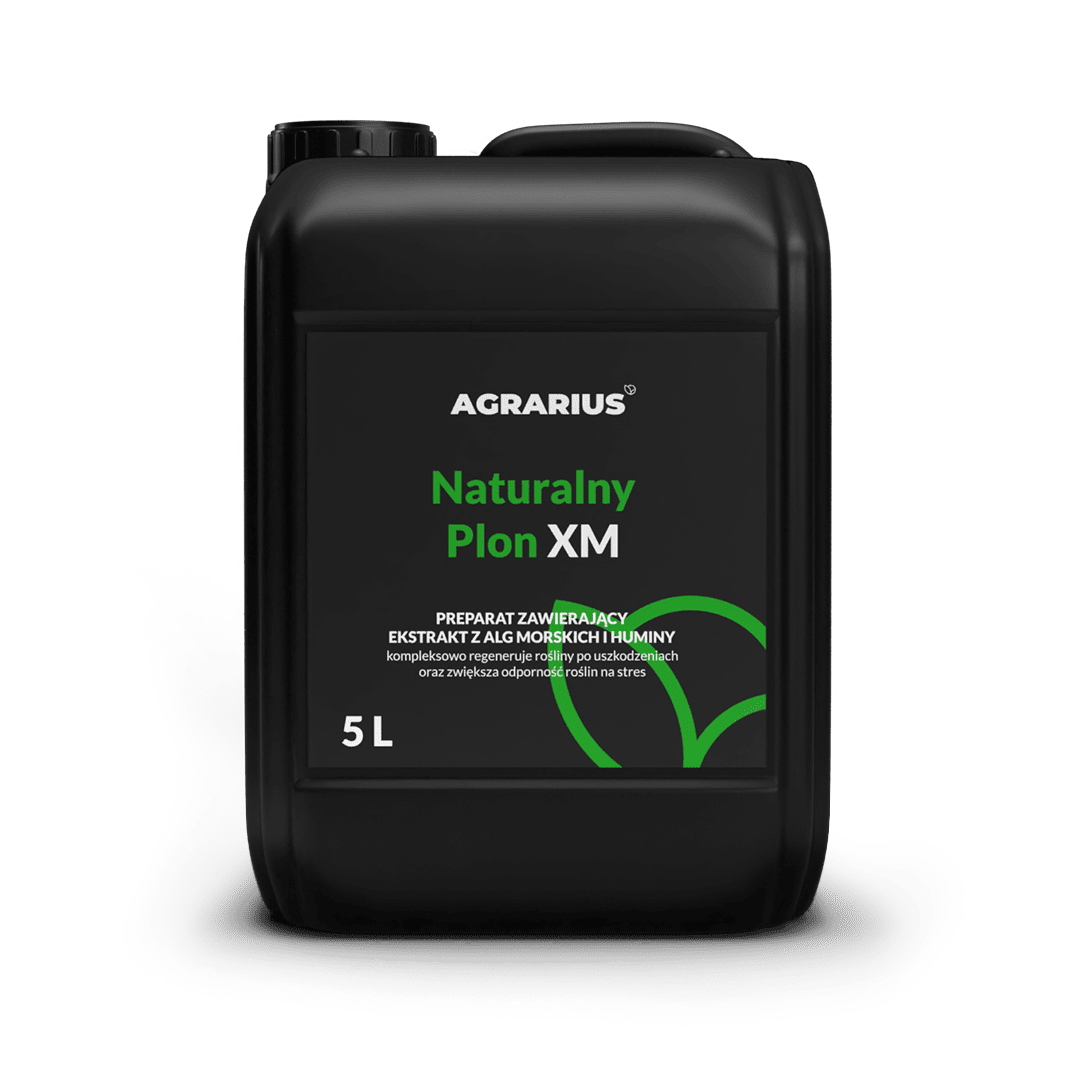 Naturalny Plon XM 5L
