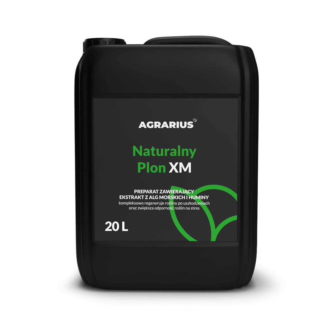 Naturalny Plon XM 20L